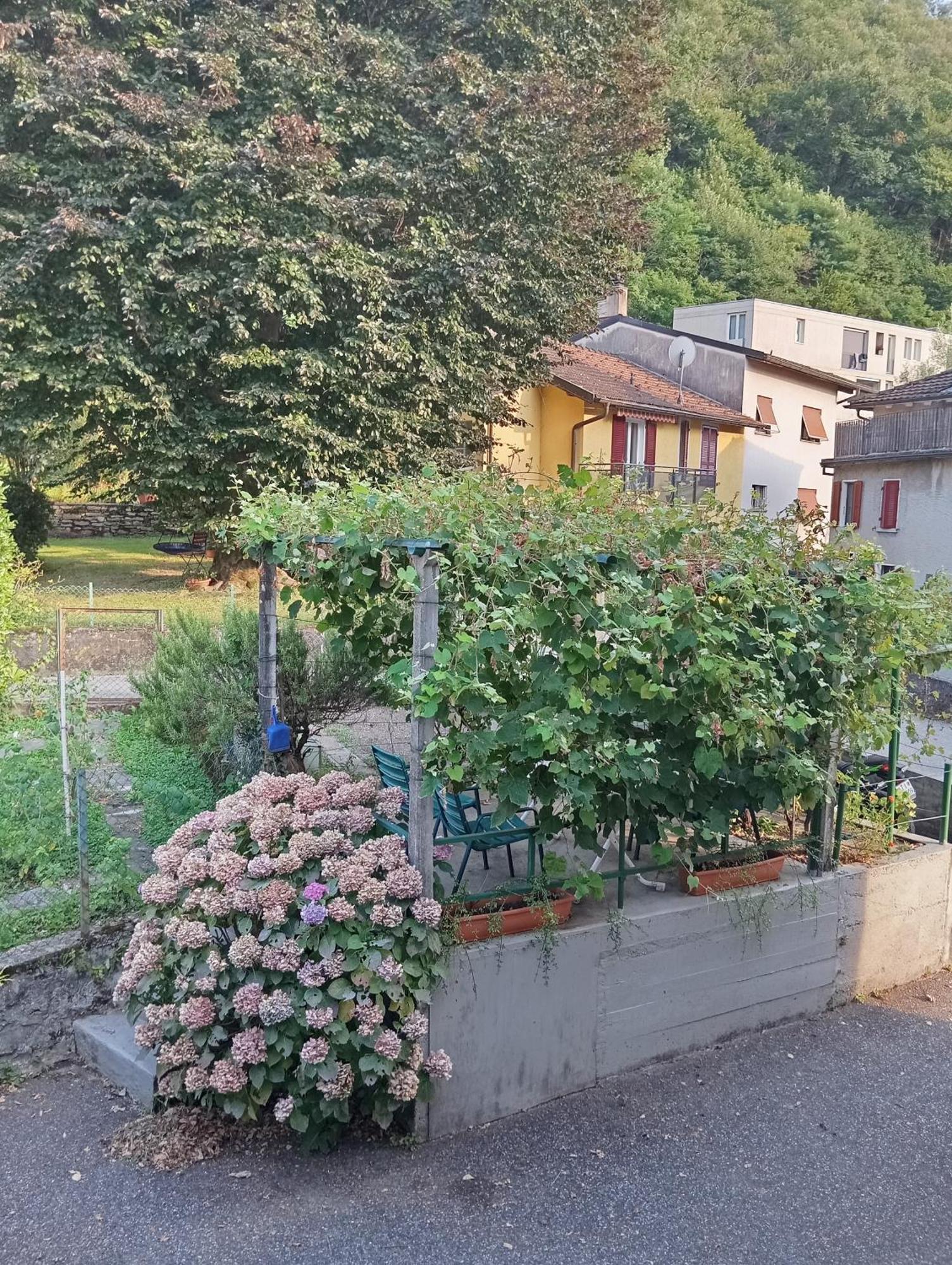 Minicasa Vila Bellinzona Exterior foto